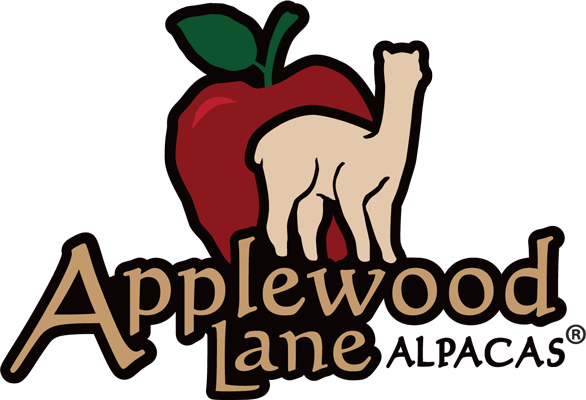 Your Logo Here
