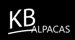 Your Logo Here