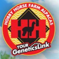 Hobby Horse Farm Alpaas
